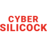 silicon Ciber