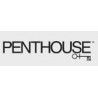 PENTHOUSE